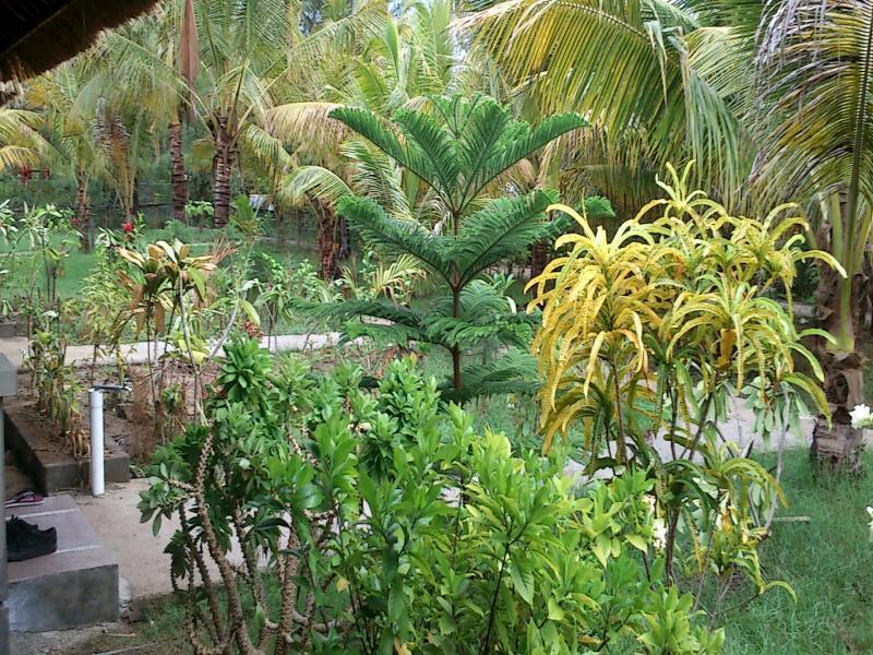 Fantastic Cottages Ilhas Gili Exterior foto